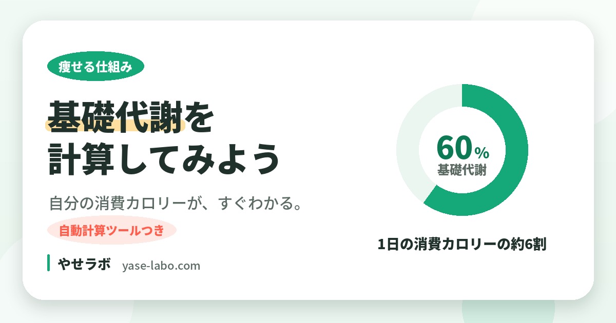 基礎代謝とは？自分の基礎代謝を計算する方法【計算式・自動計算ツールつき】