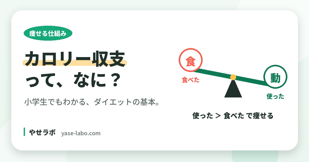 カロリー収支とは？ダイエットの仕組みを小学生でもわかるように解説